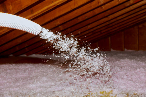 Best Eco-Friendly Insulation in Flandreau, SD